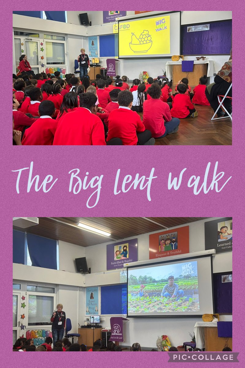 St Mark's RC School tweet media