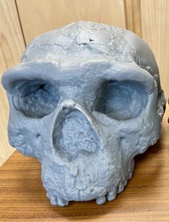 Loren Coleman tweet media