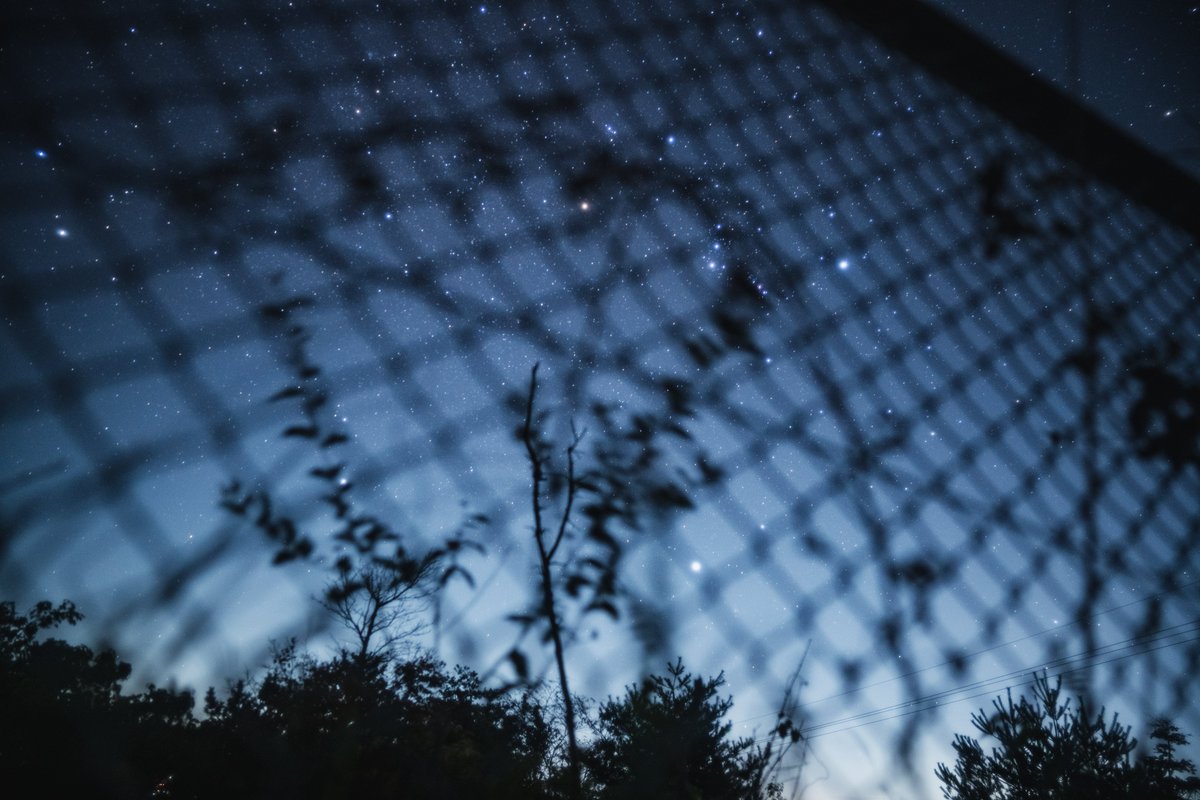 星がきれいな夜.