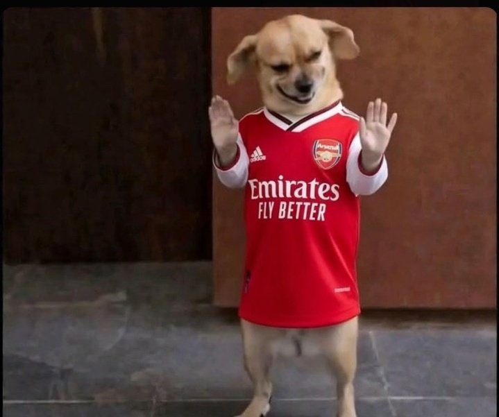 Are you not entertained guys?