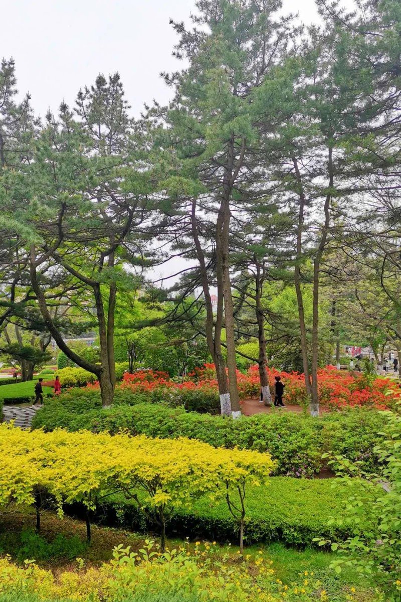 queencouture tweet media