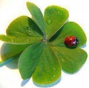 AlunaMothra tweet media