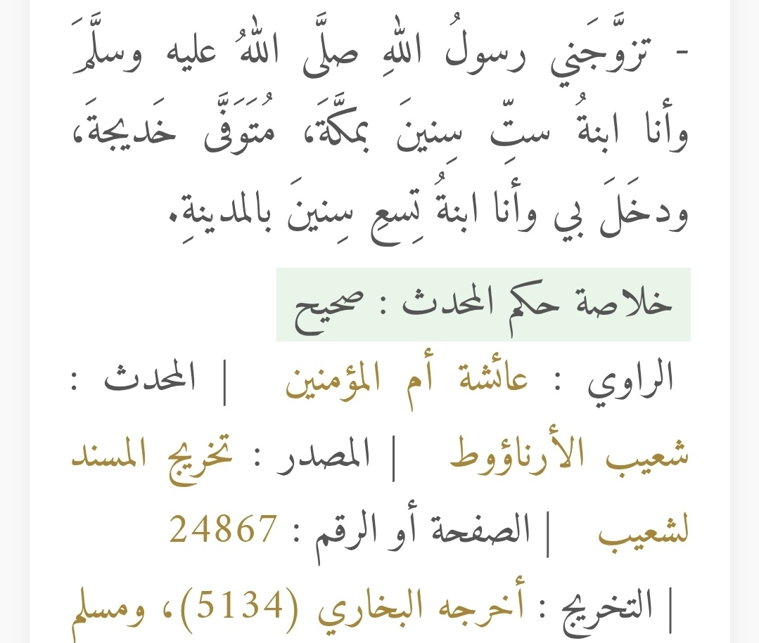 Ali Alameer tweet media