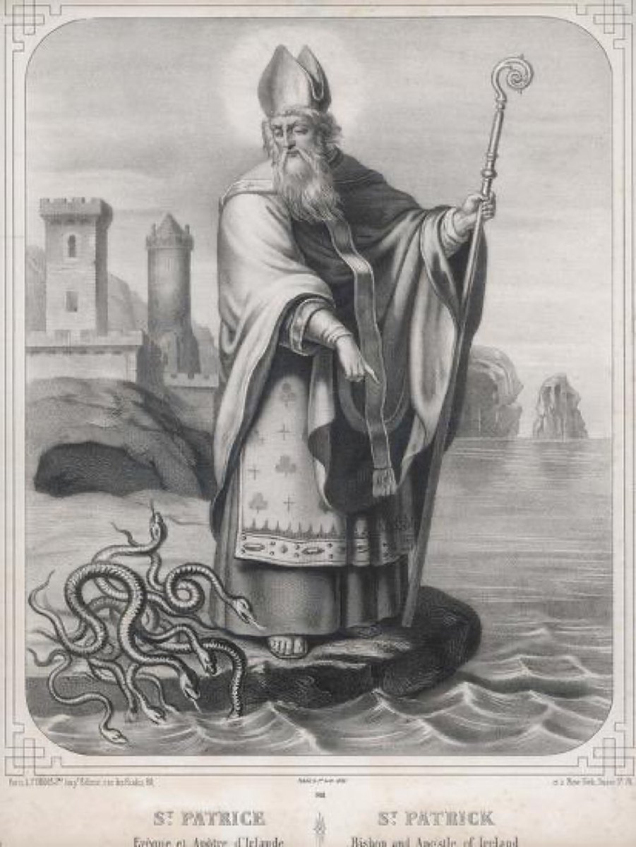 AbiolaAutos's tweet photo. @RealAlexJones I wish someone would drive her into the ocean as St. Patrick did the snakes https://t.co/SLcw6UcNAG