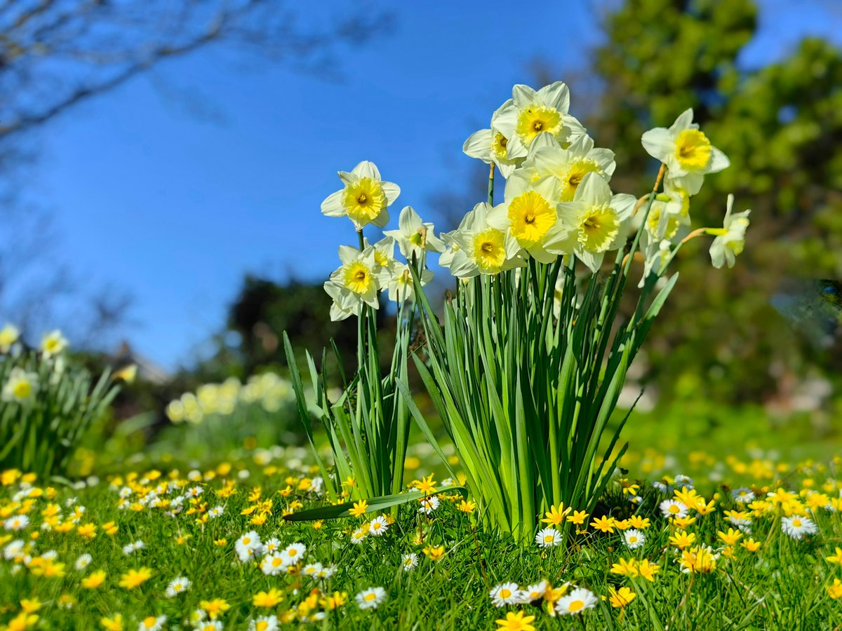 Derek Brockway - weatherman tweet media