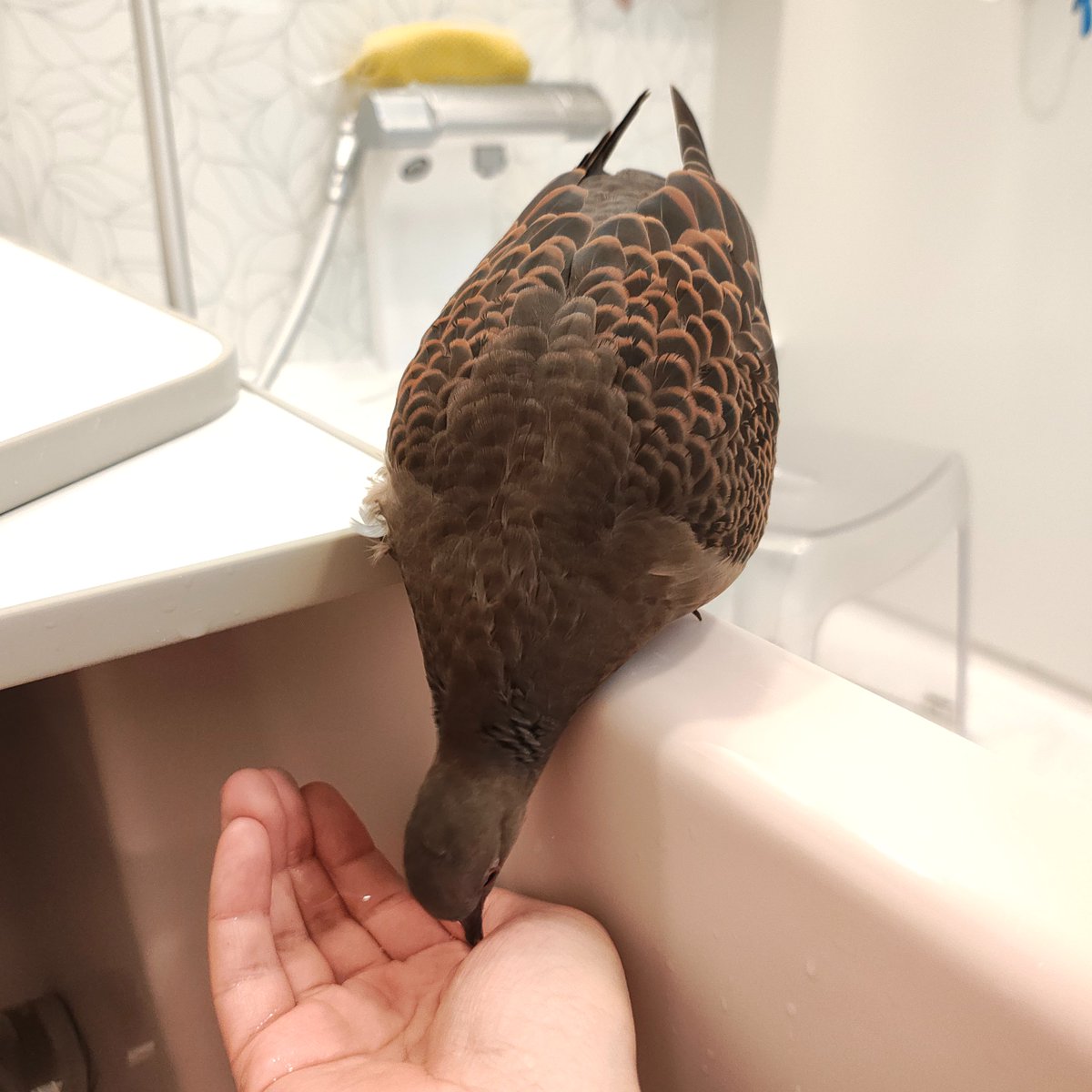 湯を飲む