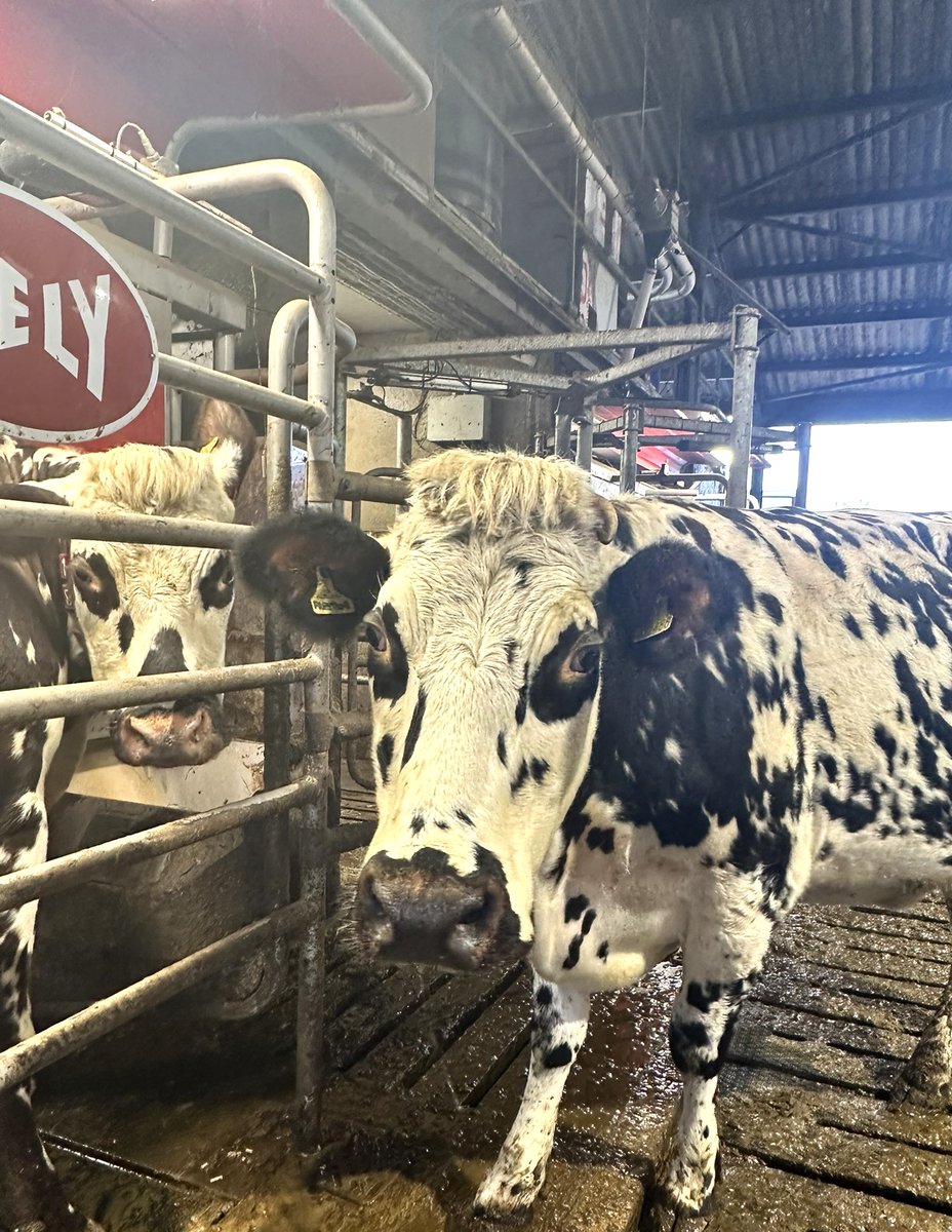 National Milk Records (NMR) tweet media