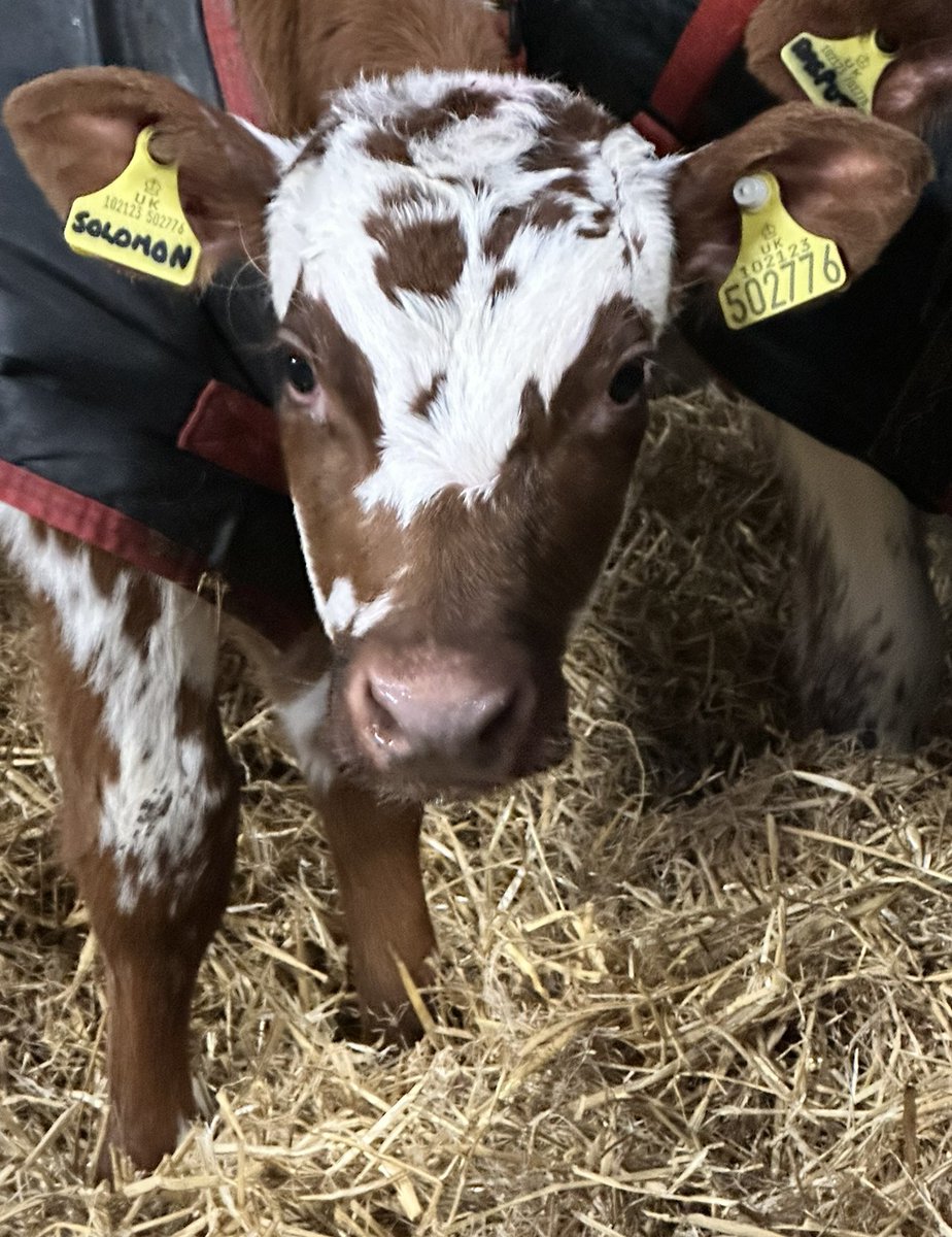 National Milk Records (NMR) tweet media