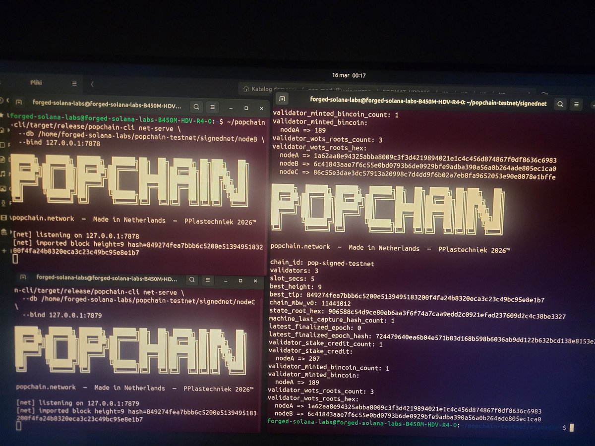 PoPChain Network tweet media