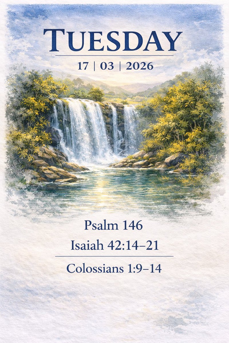 WESLEY GUILD (SA) tweet media