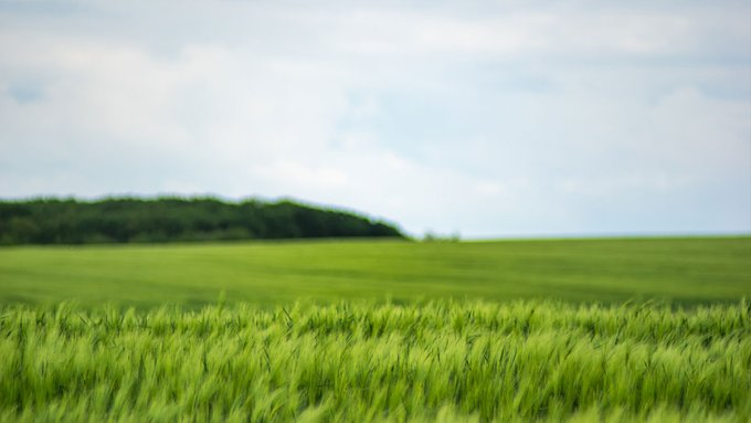 leshuttle_help tweet media