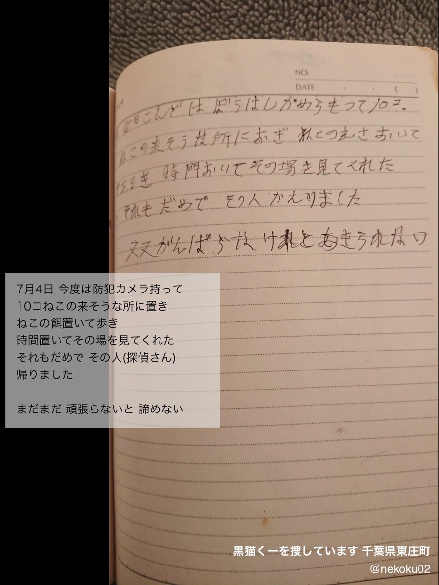 nekoku02's tweet photo. 【千葉県東庄町で2022年6月から #黒猫 ♀を #探しています 】
春彼岸中に当時の祖母の手記を見つけたので載せます
今日は祖母の月命日です
無事に帰って来たと報せたいです

どうか⬇️をご覧ください
特徴をまとめています
ご連絡をお待ちしております
#東庄町 香取市 旭 銚子 神栖 迷子捜索 拡散希望 https://t.co/QI40ylBzpl