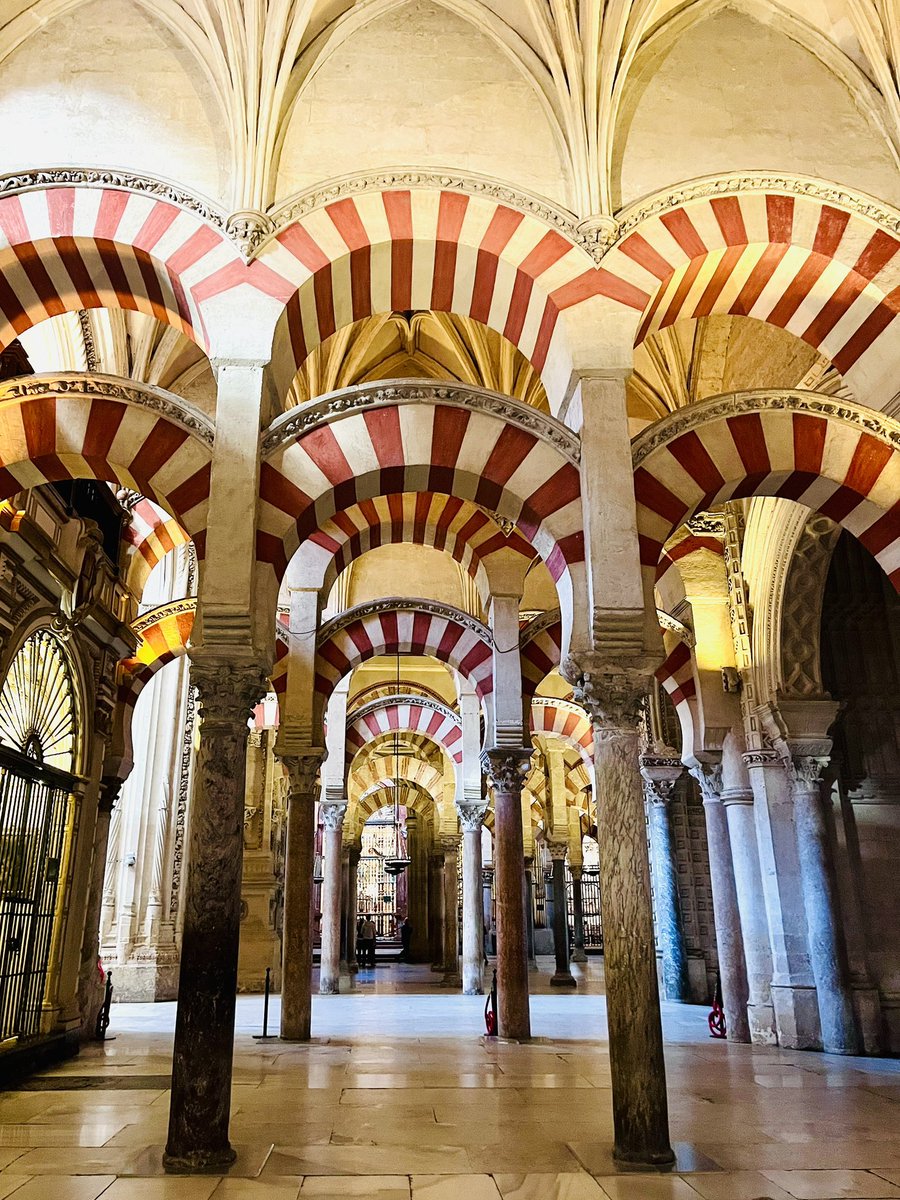 stenvikinpia tweet media