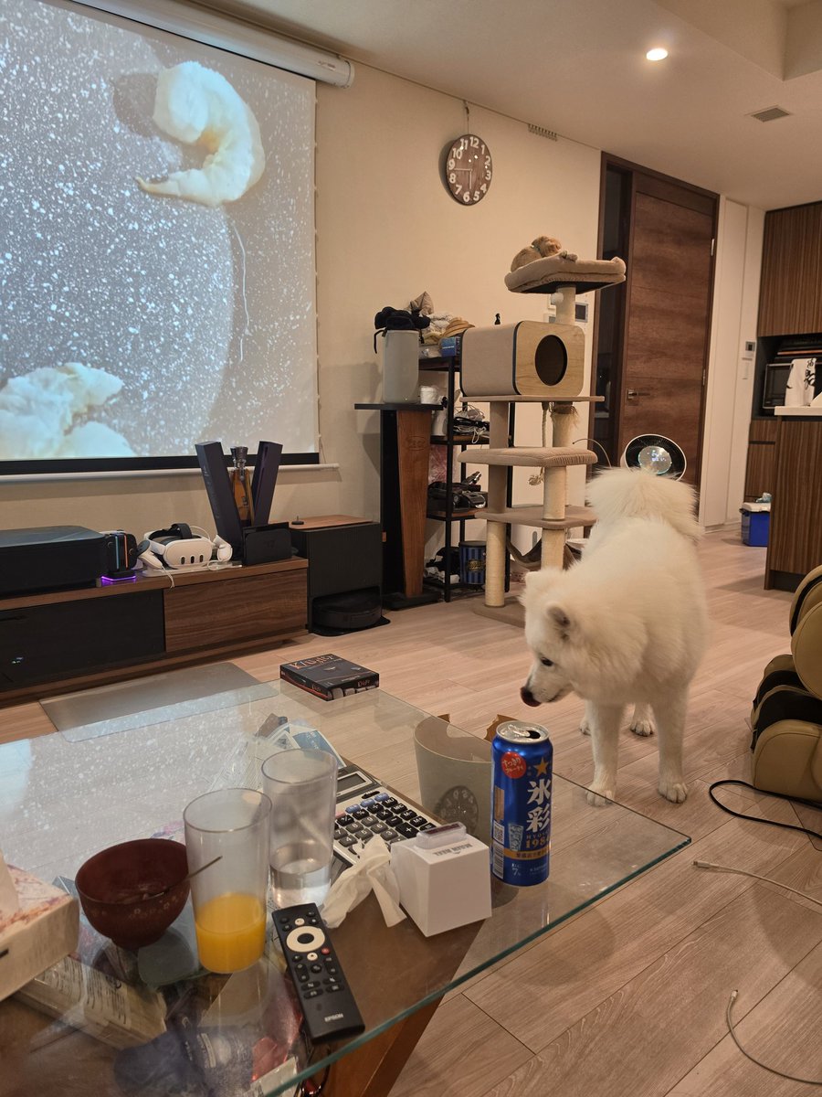 ぶんにょ tweet media