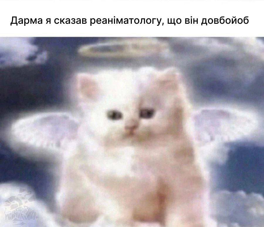 Джеймс Огілві, Пітт 2х15: