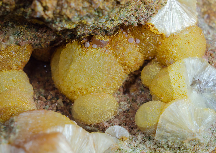 mexporg's tweet photo. #Wavellite spheres covered by thin layer of yellow #Cacoxenite, note tiny pink balls of #Strengite. Specimen from Třenice, Czech Republic.
FOV 2 cm
#mineral #crystal #mineralogy #mineralexpert https://t.co/hzFoNsoHVa