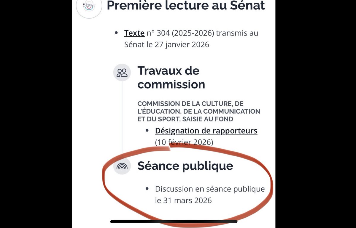 Momotchi tweet media