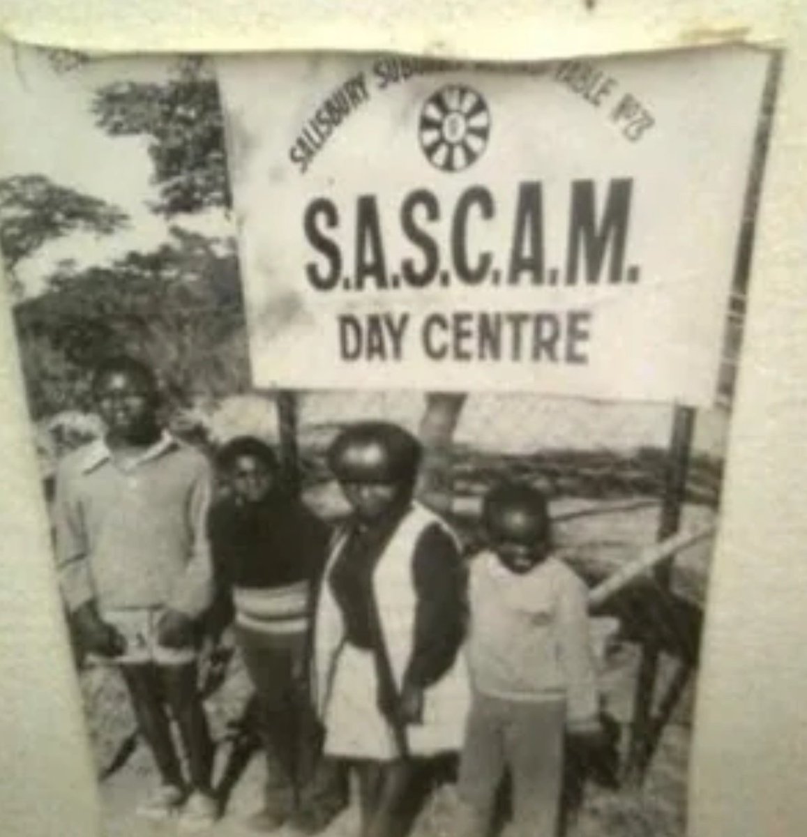 ๐ท๐๐๐๐ ๐๐ ๐ต tweet media