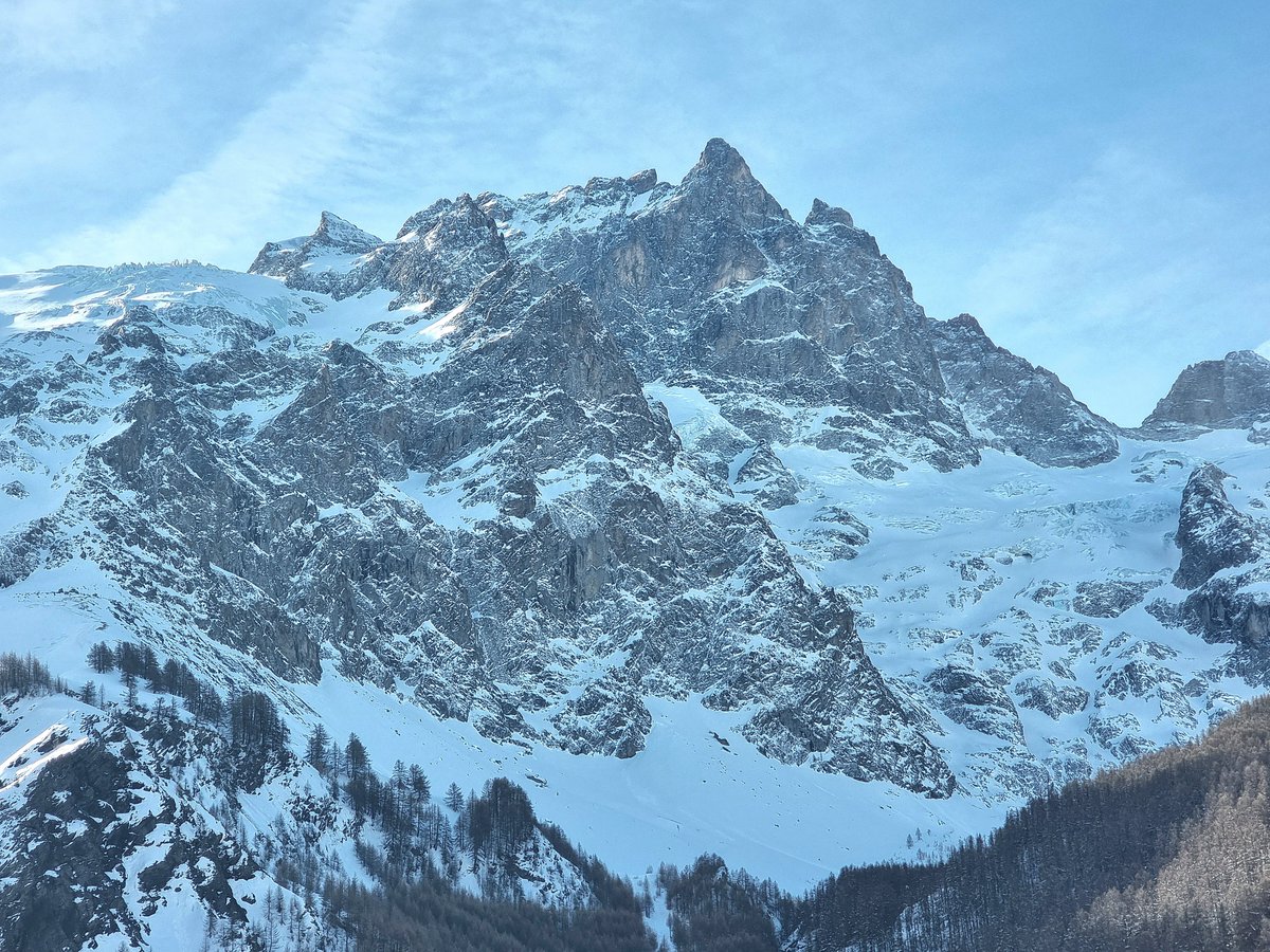 Melaine Le Roy tweet media