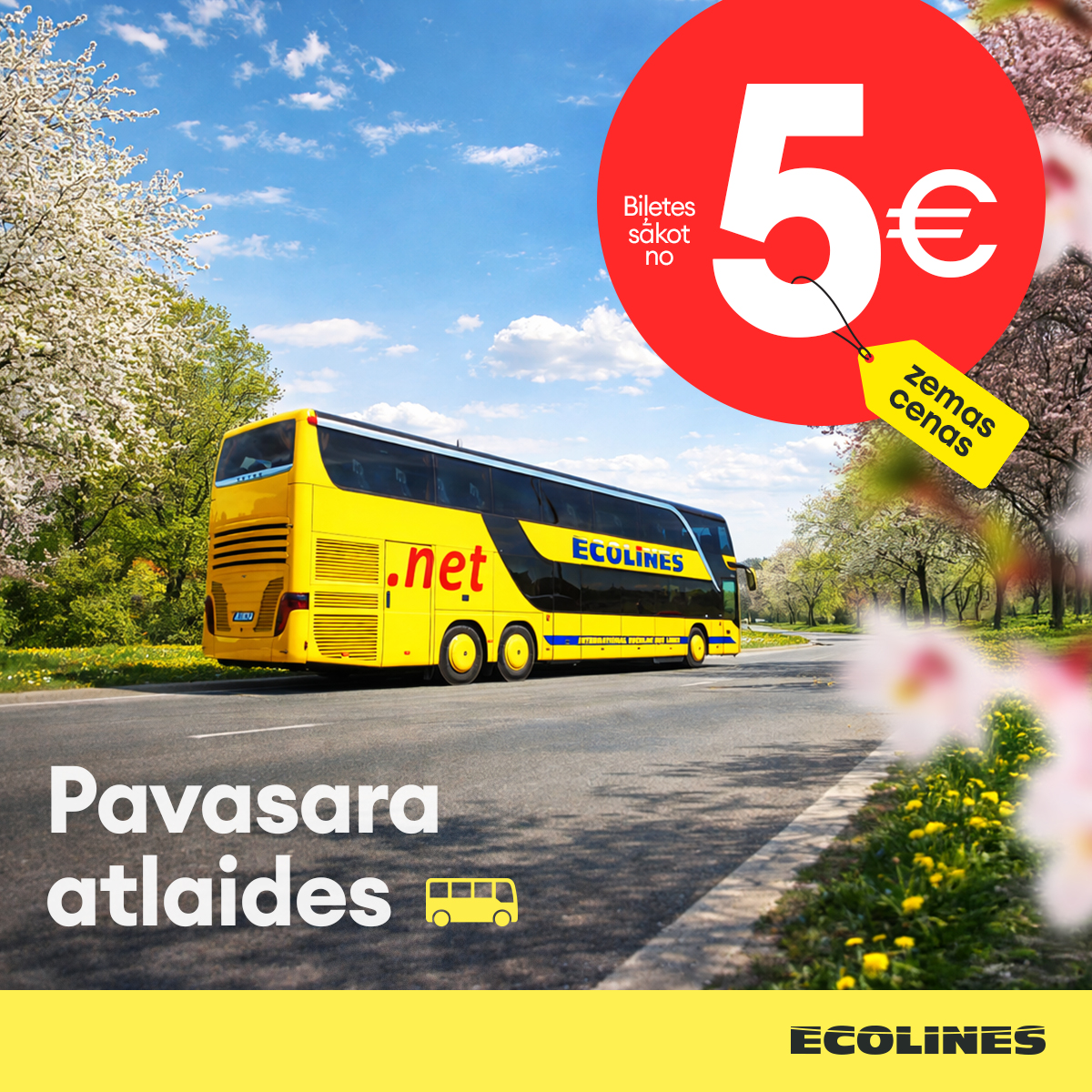 Ecolines tweet media