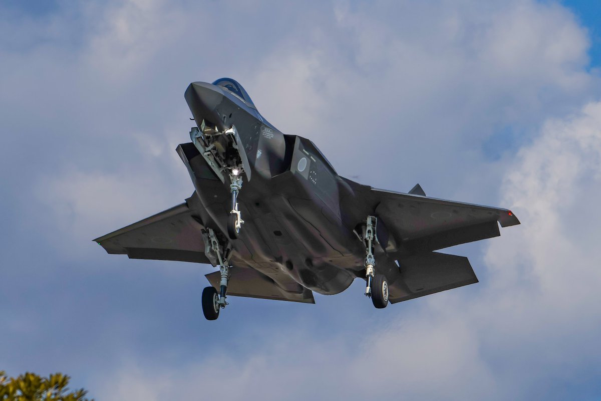 しまかぜ tweet media