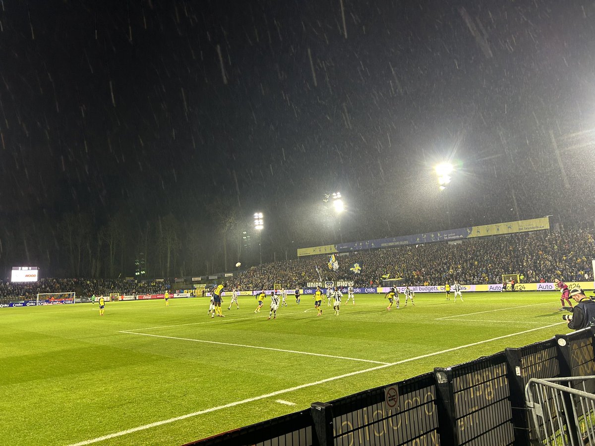 Pflückinho🦓🇧🇪 tweet media