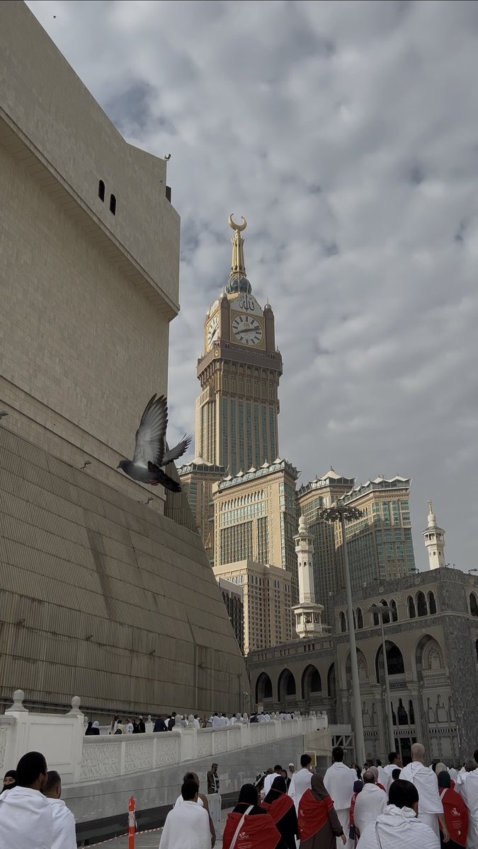 فريدة tweet media