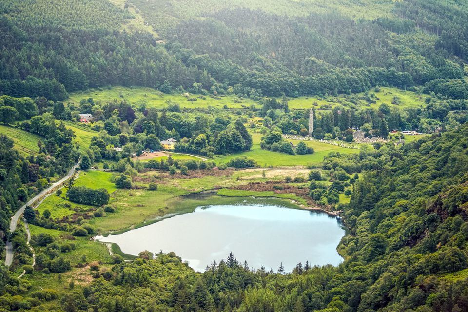 Ireland's Own tweet media