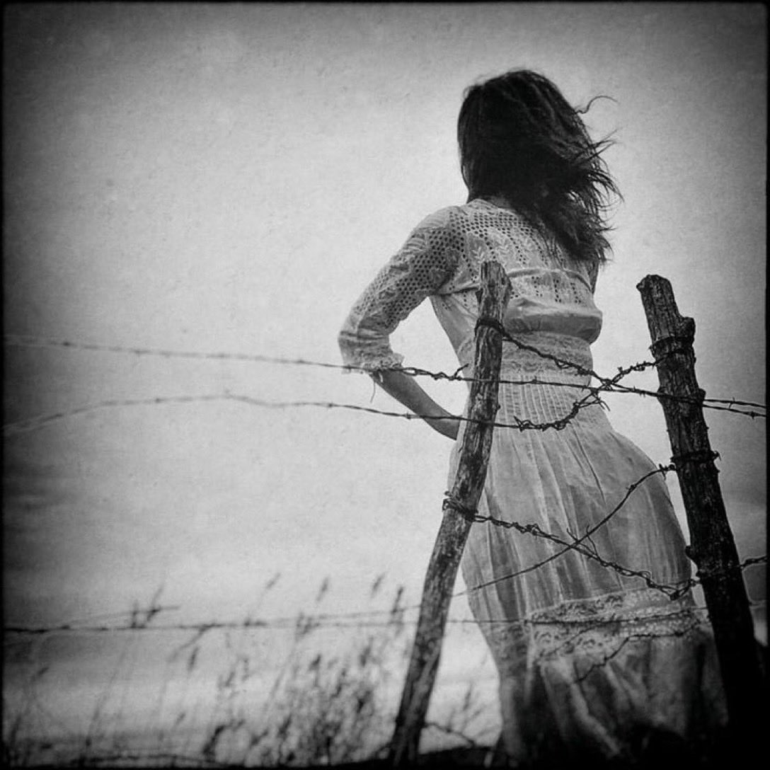 Ina de Bree tweet media