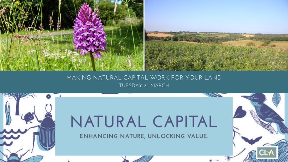 CLA South West tweet media