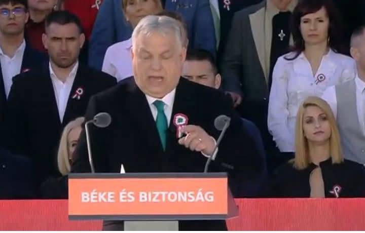 Budapest 1956 tweet media