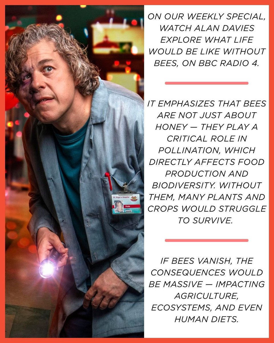 GlobalComment tweet media