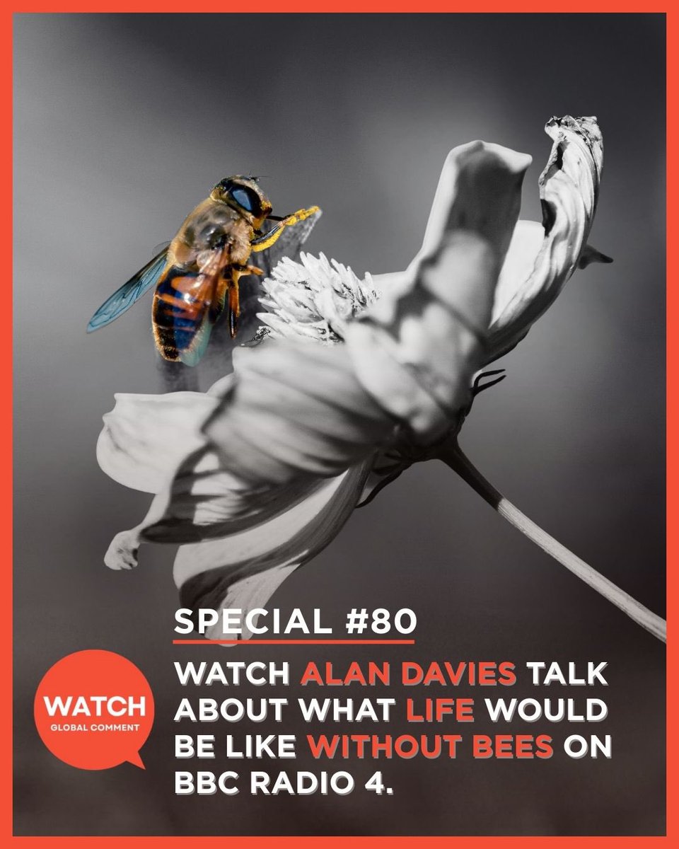 GlobalComment tweet media