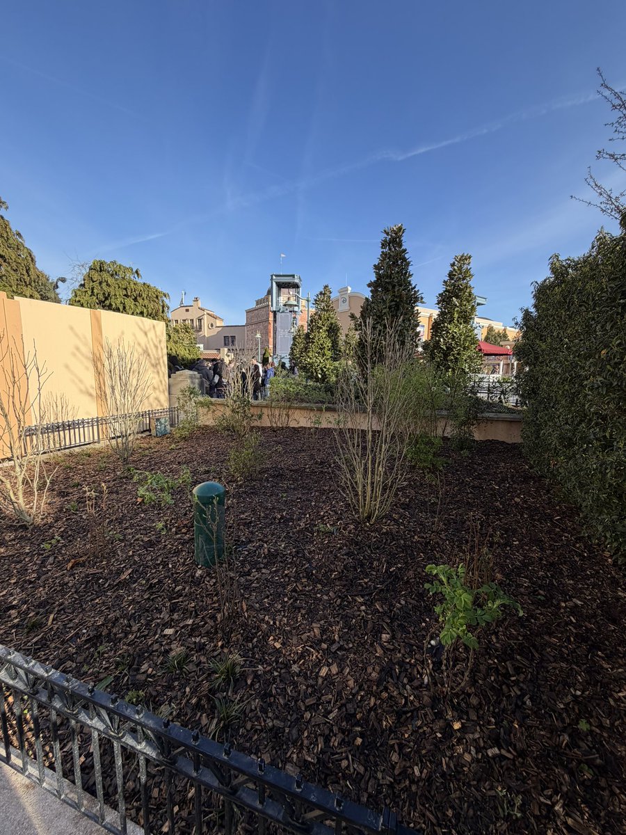 ✨ Suite de l’aménagement végétal à proximité de The Hollywood Tower Hotel ✨

#disneylandparis