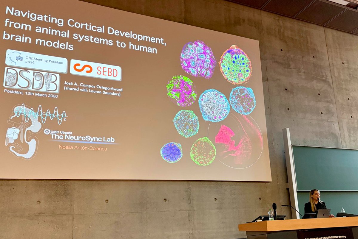 Noelia Antón-Bolaños tweet media