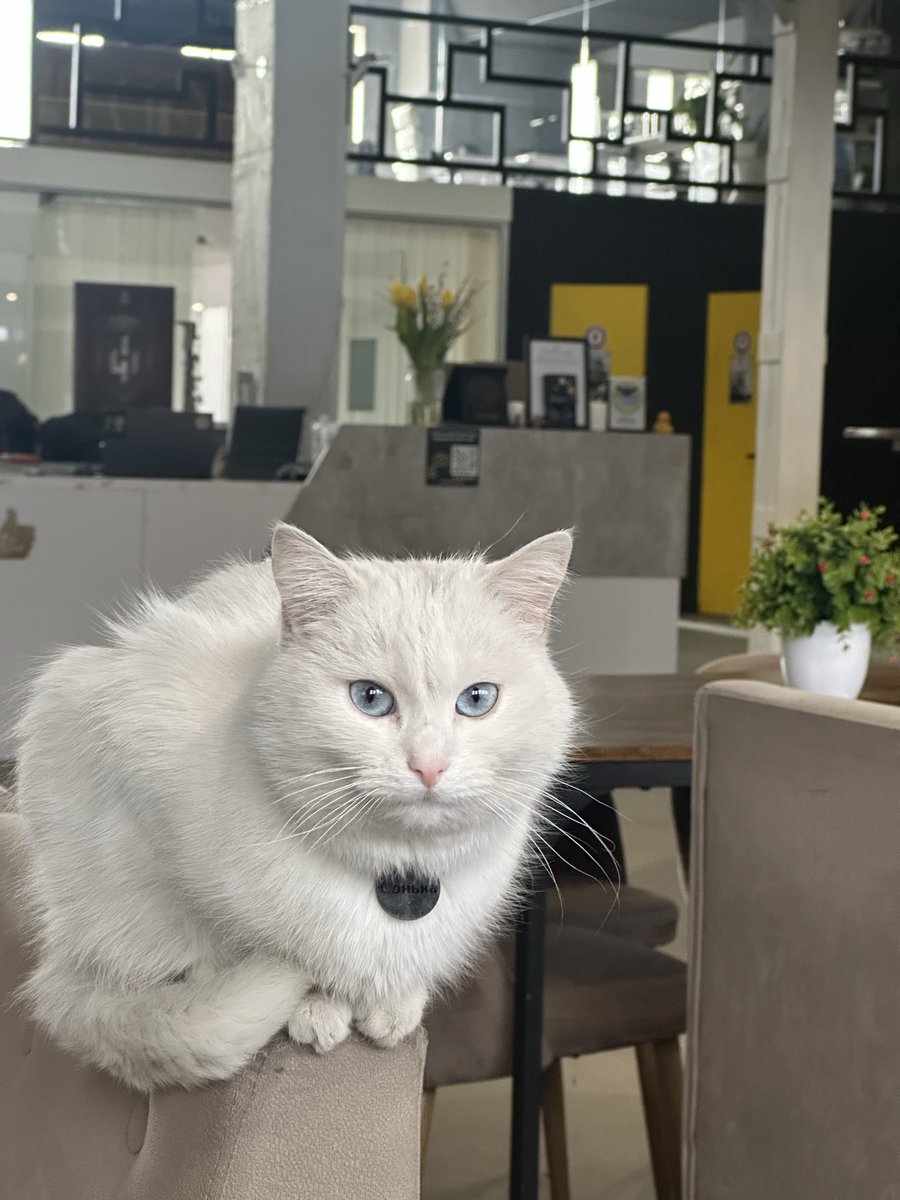 Oleksandra Matviichuk tweet media