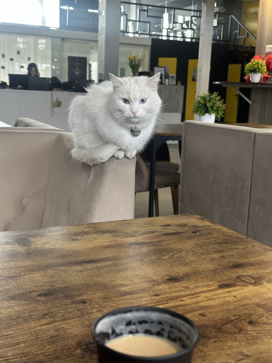 Oleksandra Matviichuk tweet media