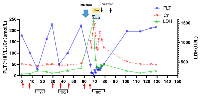 cdtm4's tweet photo. 🩸 New Report: Rapid recognition of carfilzomib-induced thrombotic microangiopathy and early eculizumab rescued two relapsed myeloma patients, highlighting prompt complement-targeted intervention.
🔗 https://t.co/iXpPrD7k6E
#Hematology #MultipleMyeloma #Nephrology
@WileyHealth https://t.co/ZAZYcBMeKS
