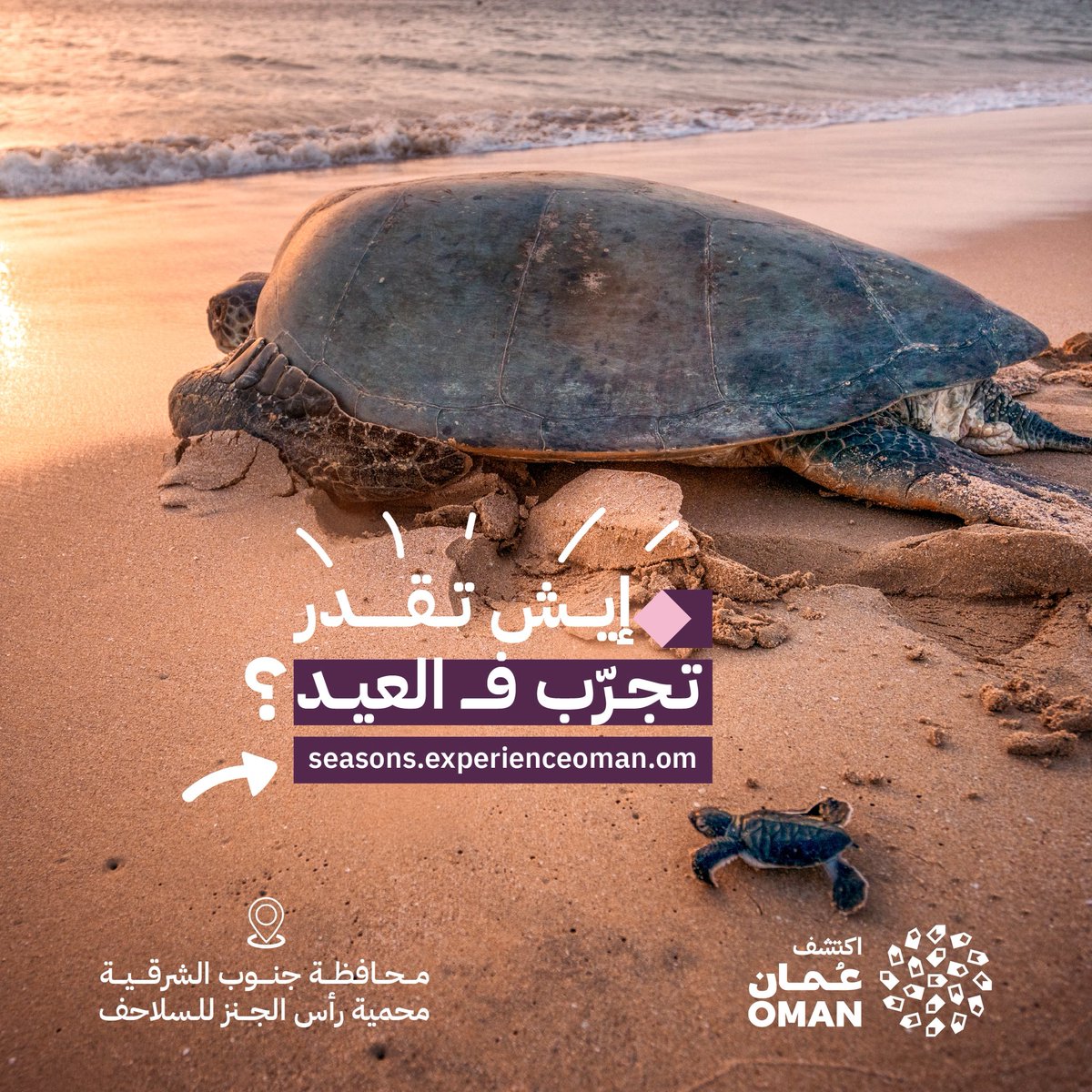 اكتشف عُمان🇴🇲 tweet media