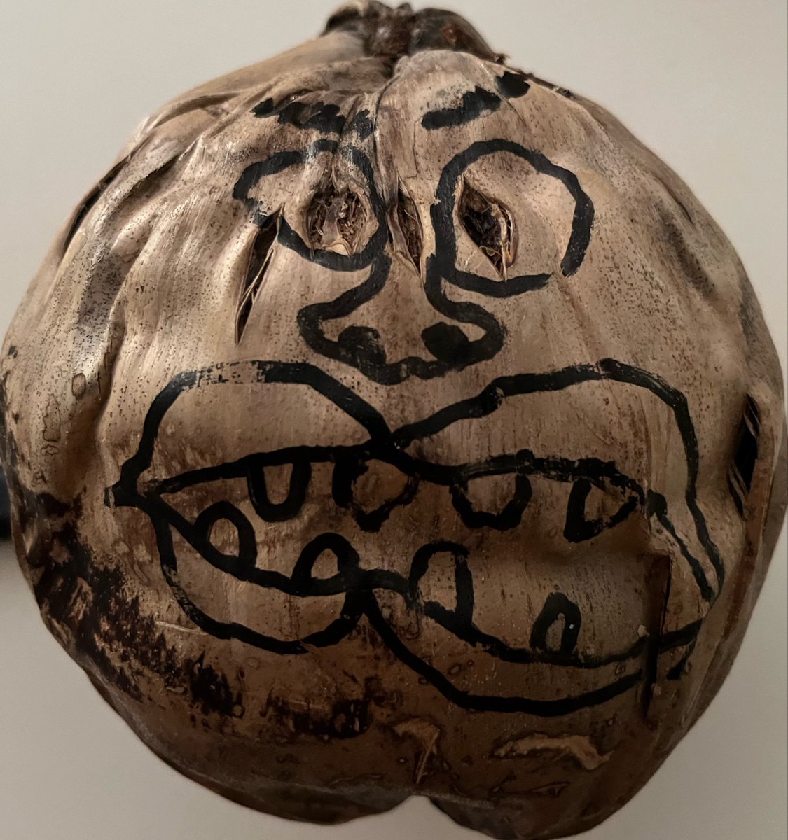 Coco and Wazza have empty heads …
Maybe they could offer their services? Coco has a really big head.