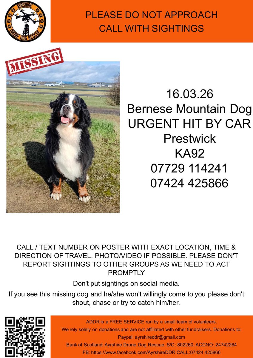 Brie's World 🌍🇬🇧🇨🇭 tweet media