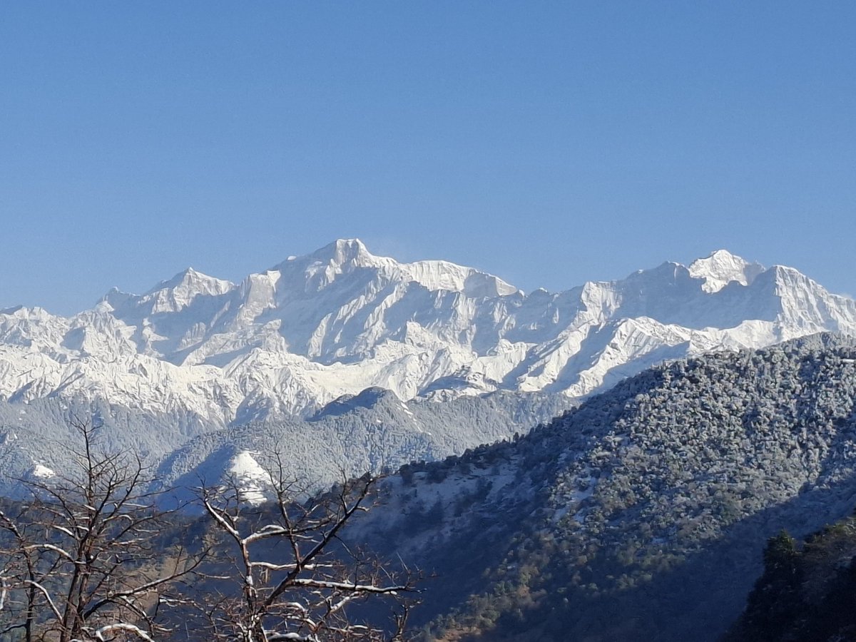 GuideBirding's tweet photo. Recent Chopta Bird Photography Tour spotted so many birds wildlife from surroundedings areas nowadays such nice activities of birds you're welcome so Bird Guide Bharat Puspwan 🙏 https://t.co/x91S2L0ZzJ
