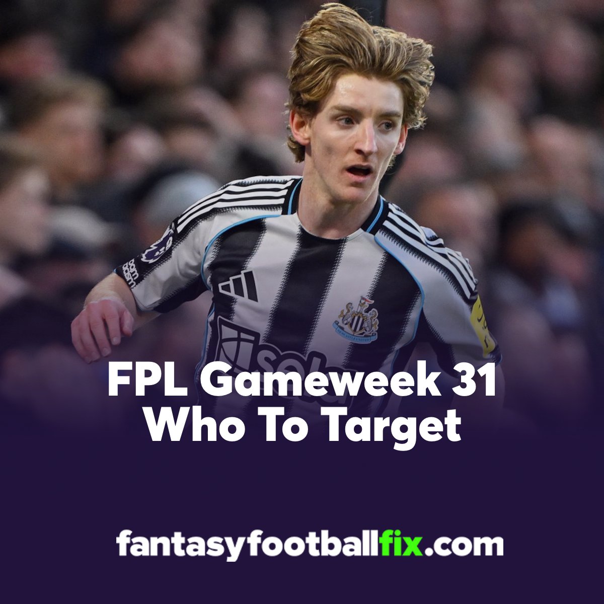 Fantasy Football Fix tweet media