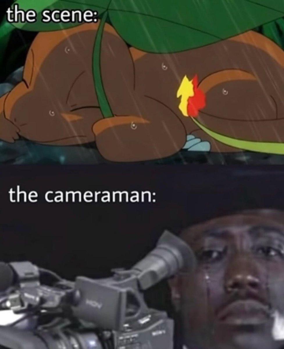 Pokémon Daily tweet media