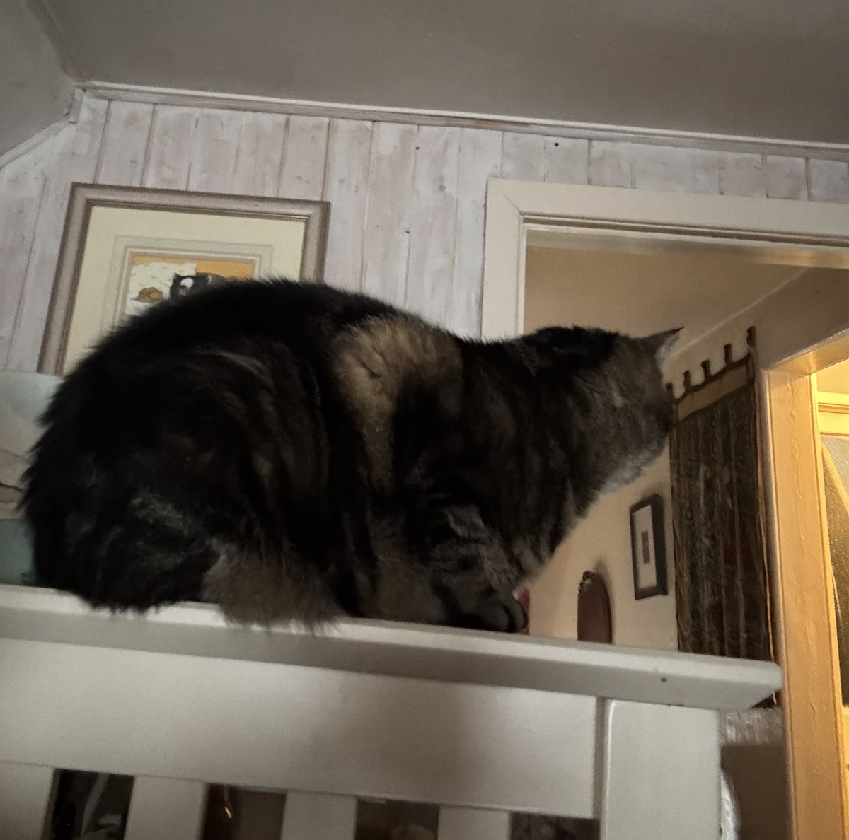 Knighton Museum - Amgueddfa Tref-y-Clawdd tweet media