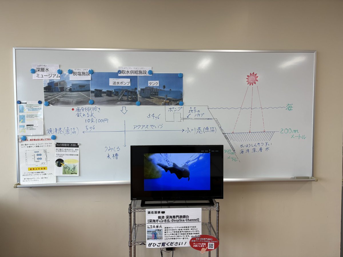 セーロソバ tweet media