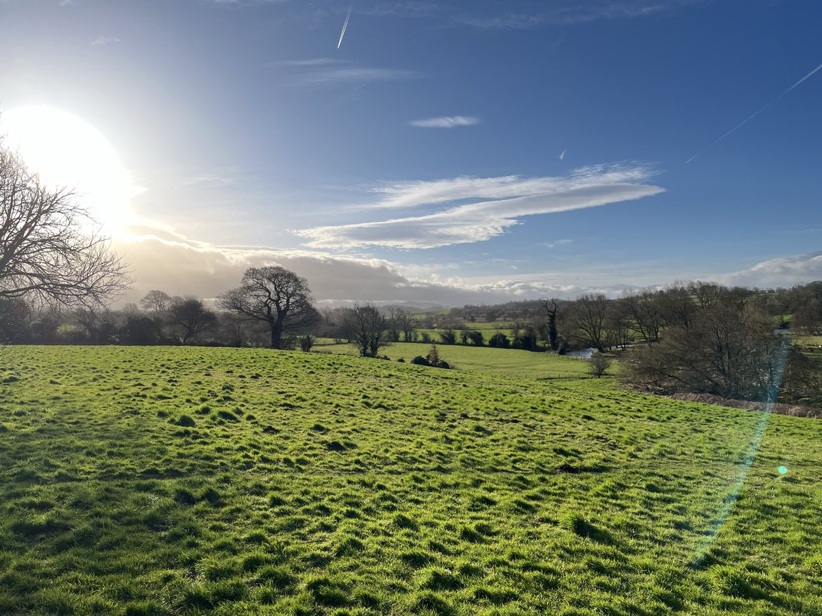 Andy Morrison tweet media