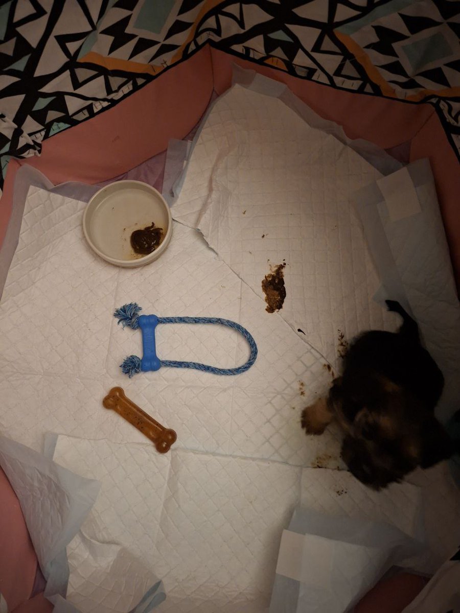 Reginald Barkley - sekretary of da social club! tweet media