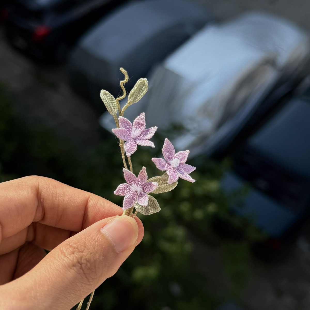 TAW Studio tweet media