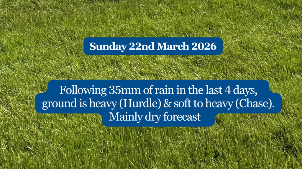 Limerick Races tweet media